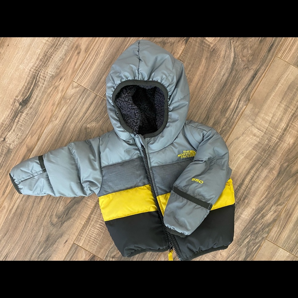 The North Face Moondoggy 2.0 Hooded Puffer Jacket